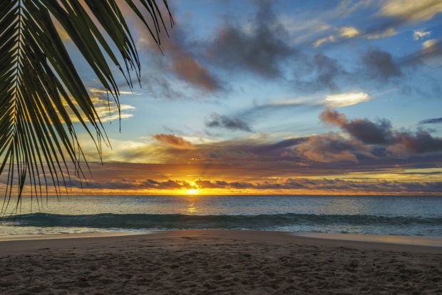 Playa morros